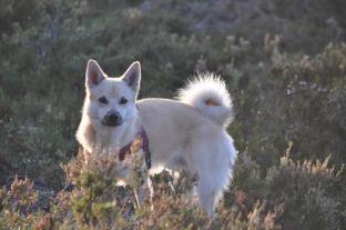 Sixtens omslagsbild, oktober 2018